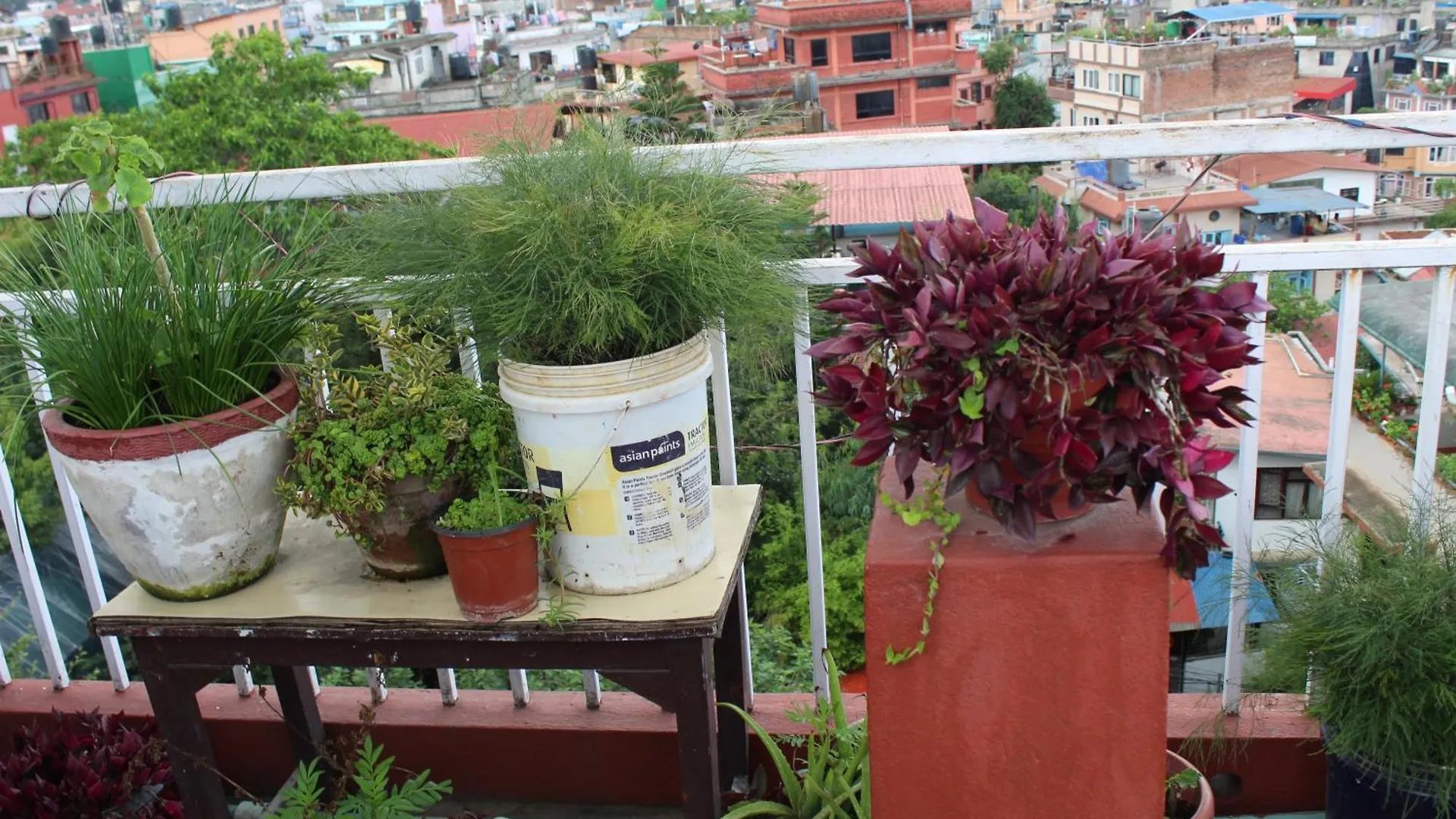 32 Peace Home Kathmandu